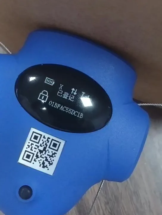 4G-LS-809 display showing the lock symbol and the registered state