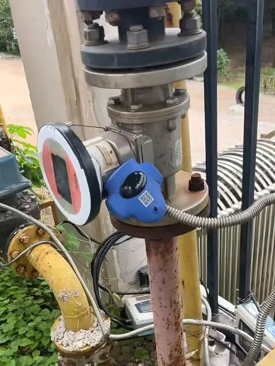 4G-LS-809 on a gas flange valve, cable threaded through the flange bolts